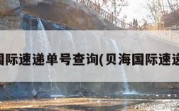 贝海国际速递单号查询(贝海国际速递官方)