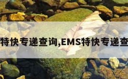 ems特快专递查询,EMS特快专递查询号