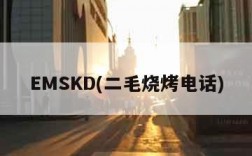 EMSKD(二毛烧烤电话)