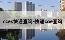 cces快递查询-快递coe查询