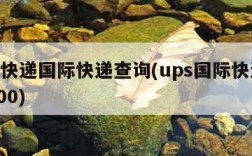 ups快递国际快递查询(ups国际快递查询100)