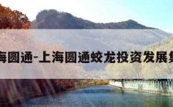 上海圆通-上海圆通蛟龙投资发展集团