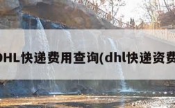 DHL快递费用查询(dhl快递资费)