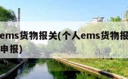 个人ems货物报关(个人ems货物报关在哪里申报)