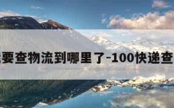 我要查物流到哪里了-100快递查询