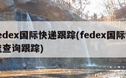 fedex国际快递跟踪(fedex国际物流查询跟踪)