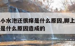 脚上起小水泡还很痒是什么原因,脚上起小水泡很痒是什么原因造成的