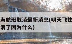 明天上海航班取消最新消息(明天飞往上海的航班取消了因为什么)