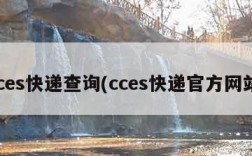 cces快递查询(cces快递官方网站)