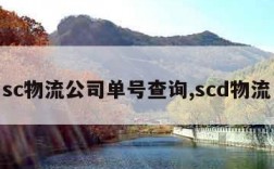 sc物流公司单号查询,scd物流