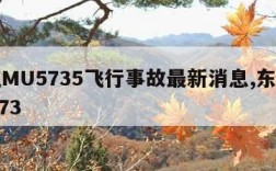 东航MU5735飞行事故最新消息,东航mu5773