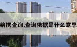 给据查询,查询依据是什么意思