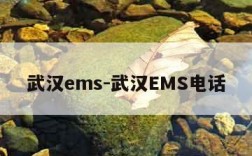 武汉ems-武汉EMS电话