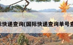 国际快递查询(国际快递查询单号查询)