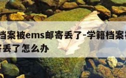 学籍档案被ems邮寄丢了-学籍档案被ems邮寄丢了怎么办