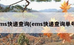 ems快递查询(ems快递查询单号)