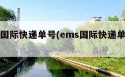 ems国际快递单号(ems国际快递单号网)