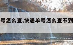 快递单号怎么查,快递单号怎么查不到物流信息