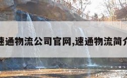 速通物流公司官网,速通物流简介