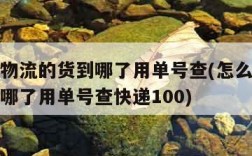 怎么查物流的货到哪了用单号查(怎么查物流的货到哪了用单号查快递100)