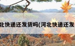 河北快递还发货吗(河北快递还发么)