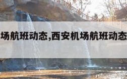 西安机场航班动态,西安机场航班动态查询最新消息