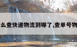 申通怎么查快递物流到哪了,查单号物流查询