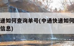 中通快递如何查询单号(中通快递如何查询单号物流信息)