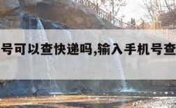 用手机号可以查快递吗,输入手机号查快递单号