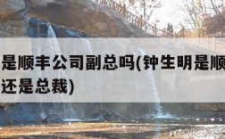 钟生明是顺丰公司副总吗(钟生明是顺丰公司副总吗还是总裁)