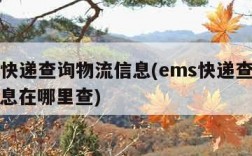 ems快递查询物流信息(ems快递查询物流信息在哪里查)