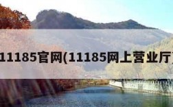 11185官网(11185网上营业厅)