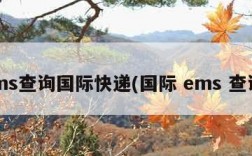 ems查询国际快递(国际 ems 查询)