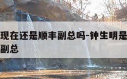 钟生明现在还是顺丰副总吗-钟生明是哪个物流公司副总