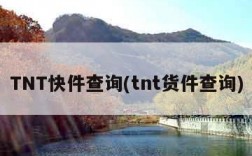 TNT快件查询(tnt货件查询)