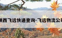 陕西飞远快递查询-飞远物流公司