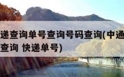 申通快递查询单号查询号码查询(中通速递查询单号查询 快递单号)