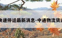 中通快递停运最新消息-中通物流货运查询