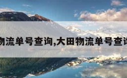 大田物流单号查询,大田物流单号查询一下