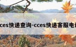 cces快递查询-cces快递客服电话