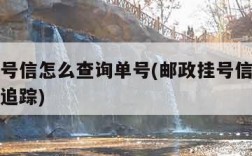 邮政挂号信怎么查询单号(邮政挂号信查询单号查询追踪)