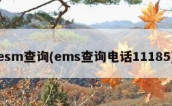 esm查询(ems查询电话11185)