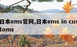 日本ems官网,日本ems in customs