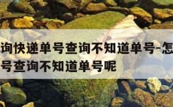 怎么查询快递单号查询不知道单号-怎么查询快递单号查询不知道单号呢