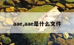 aae,aae是什么文件