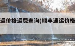 顺丰速运价格运费查询(顺丰速运价格运费查询表)