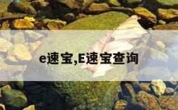 e速宝,E速宝查询