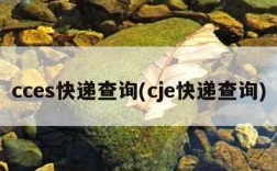 cces快递查询(cje快递查询)