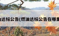 燃油达标公告(燃油达标公告在哪里看)