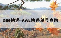 aae快递-AAE快递单号查询